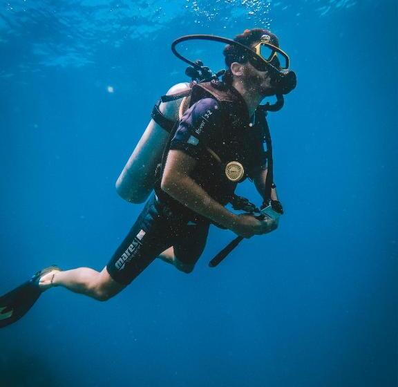 ユースホステル Dpm Koh Tao Diving Hotel & Bar