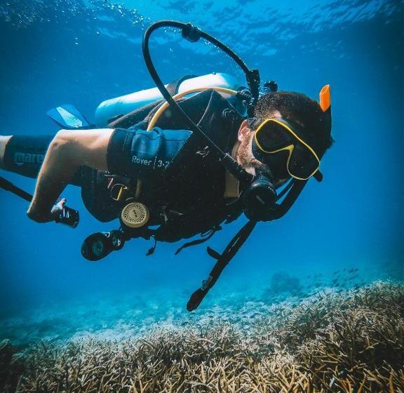 ユースホステル Dpm Koh Tao Diving Hotel & Bar