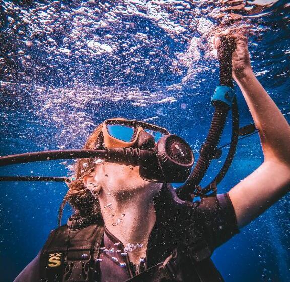 ユースホステル Dpm Koh Tao Diving Hotel & Bar