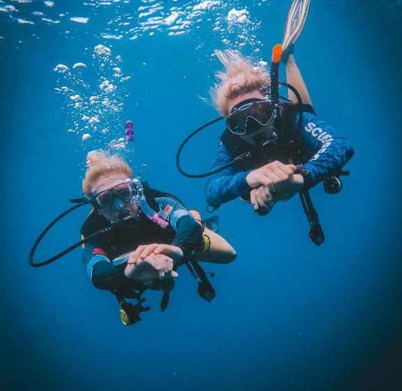 ユースホステル Dpm Koh Tao Diving Hotel & Bar