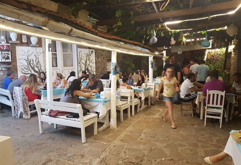 Bed and Breakfast Assos Dr No Pansiyon