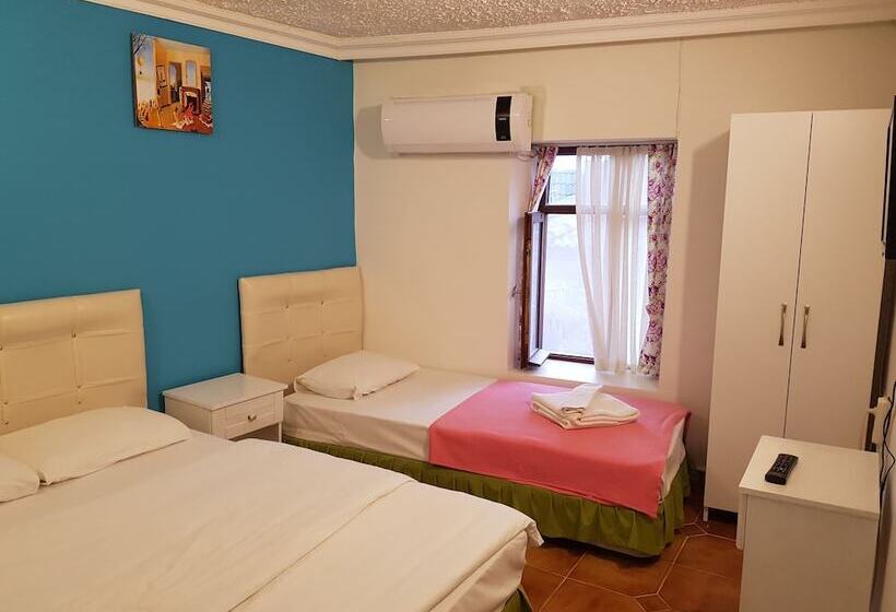 Bed and Breakfast Assos Dr No Pansiyon