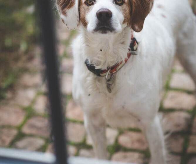 تختخواب و صبحانه Château Latour Segur Suites & Spa