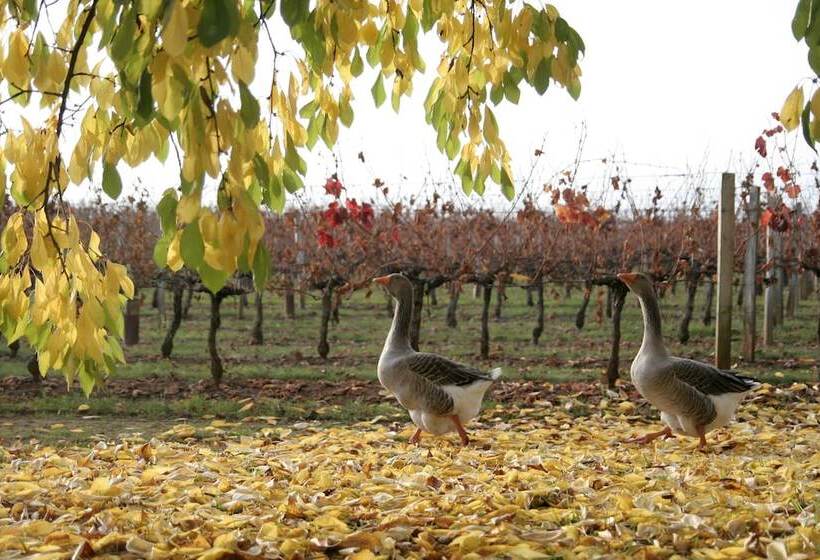 تختخواب و صبحانه Château Latour Segur Suites & Spa