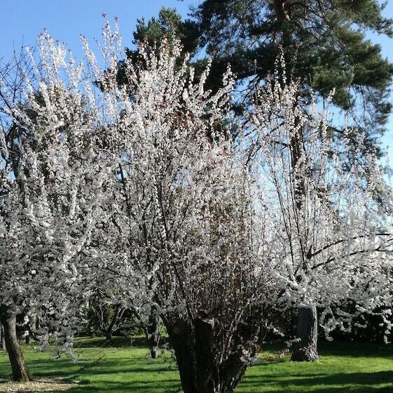 צימר La Haute Traversière