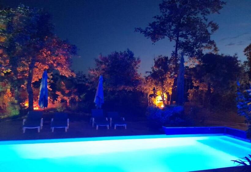 住宿加早餐 La Villa Provençale