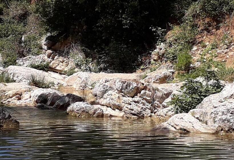 住宿加早餐 La Villa Provençale