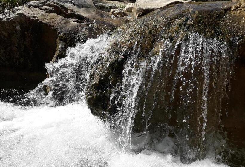 住宿加早餐 La Villa Provençale
