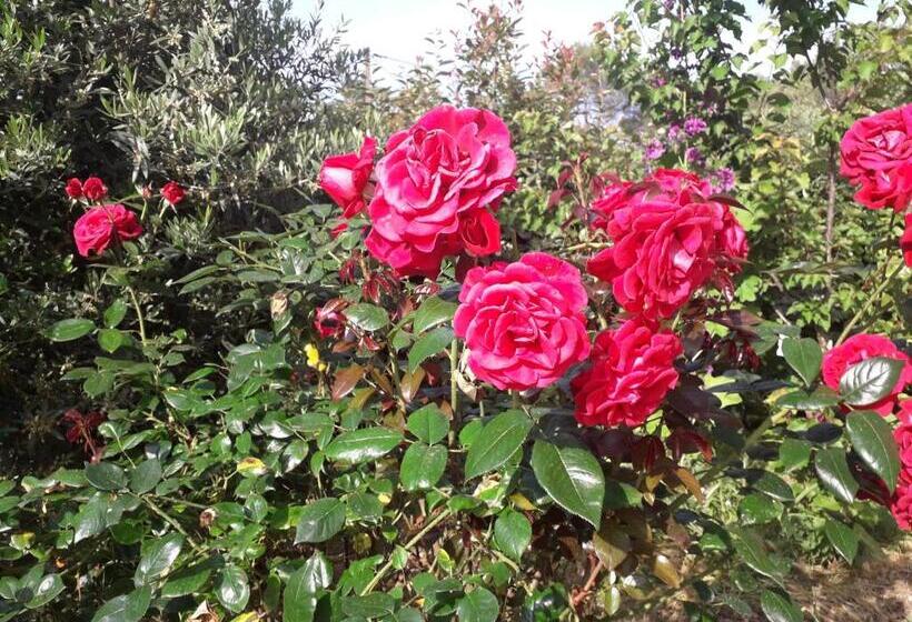 住宿加早餐 La Villa Provençale