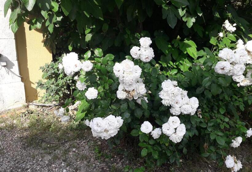 住宿加早餐 La Villa Provençale