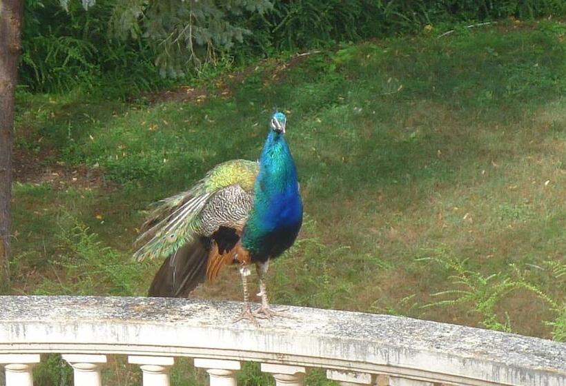 Bed and Breakfast Le Manoir