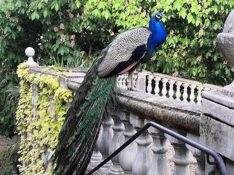 Bed and Breakfast Le Manoir