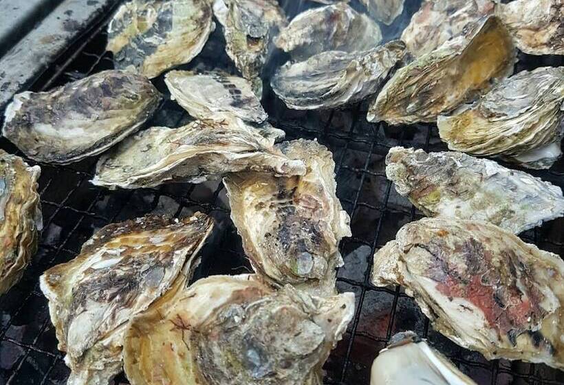 تختخواب و صبحانه Ou Hai You Travel