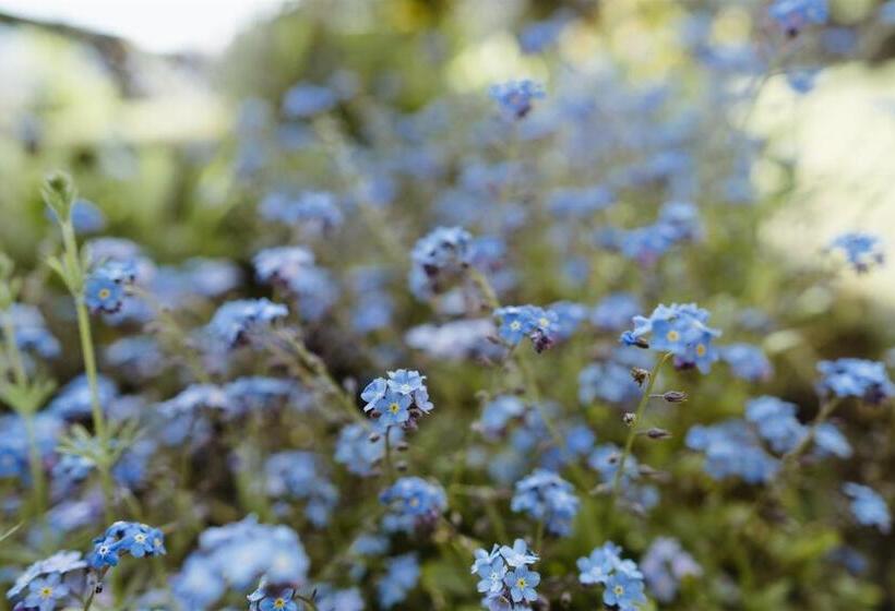 Bed and Breakfast Ruswarp Hall Whitby