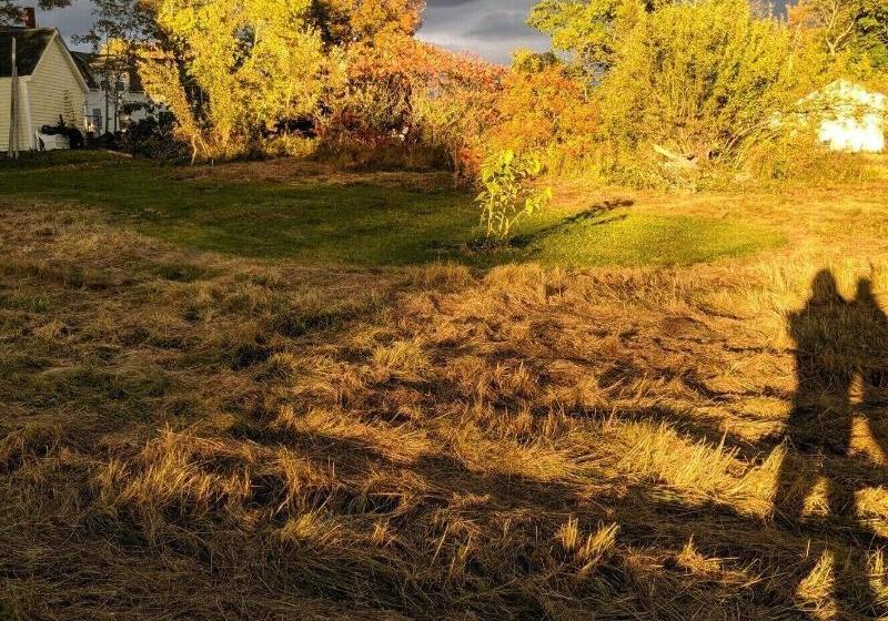 مبيت وإفطار The Nightfall Inn