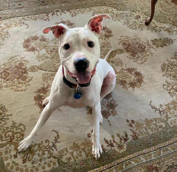 Grand Colonial Bed And Breakfast