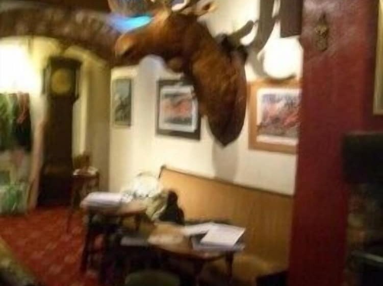 فندق فئة نجمة واحدة Abbey Grange