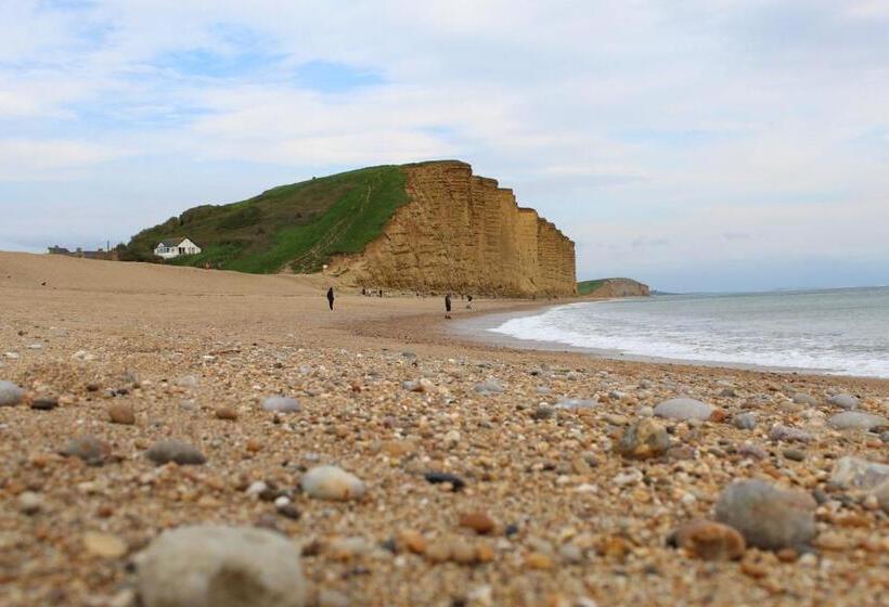 호텔 Bridport Arms