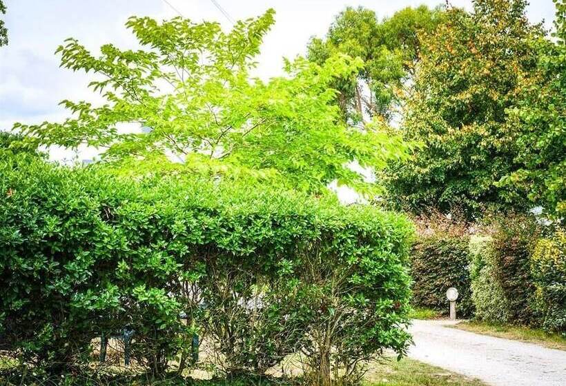 Отель Camping Le Diben