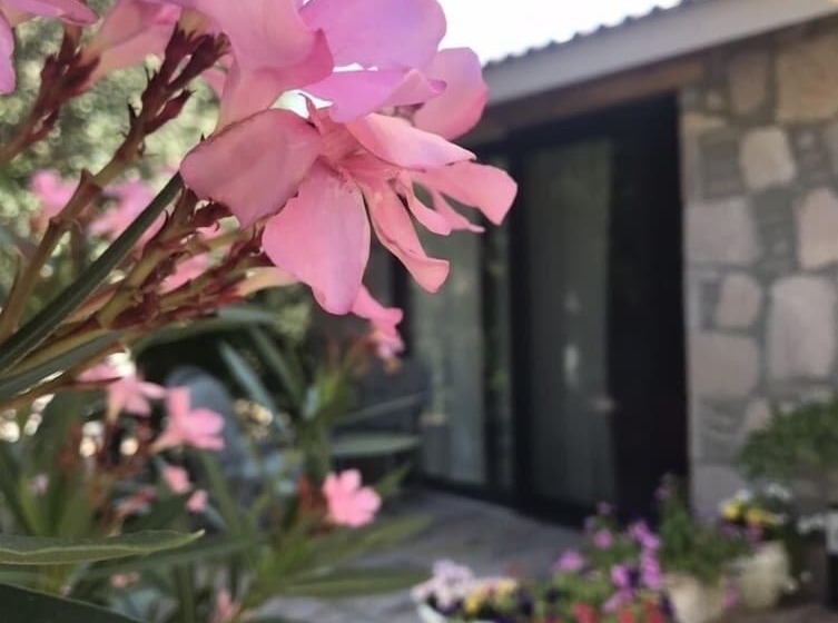 فندق Cumhur Yesilirmak Butiqe