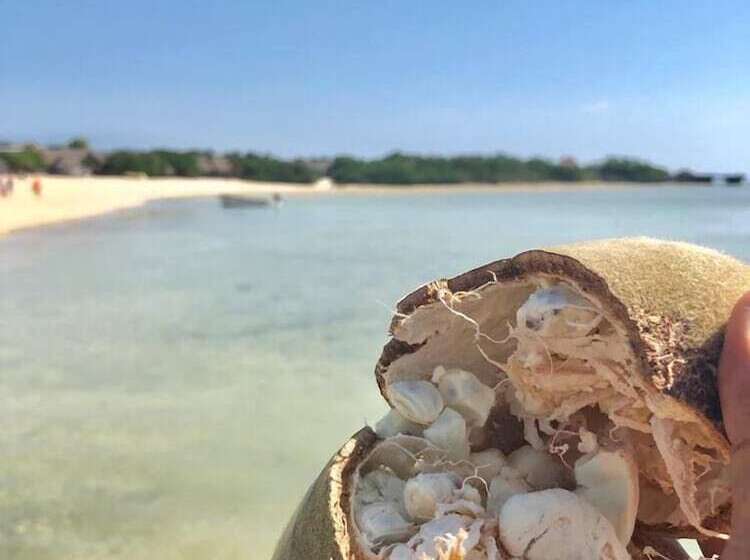 酒店 Isla Bonita Zanzibar Beach Resort