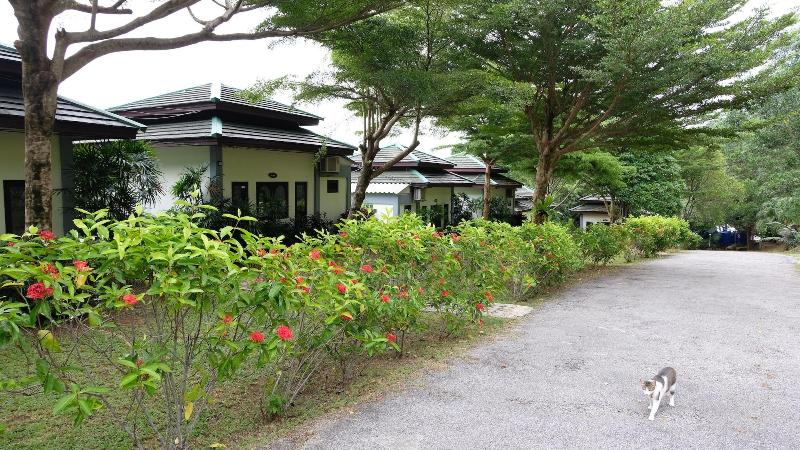 酒店 Khaolak Hillside Villa