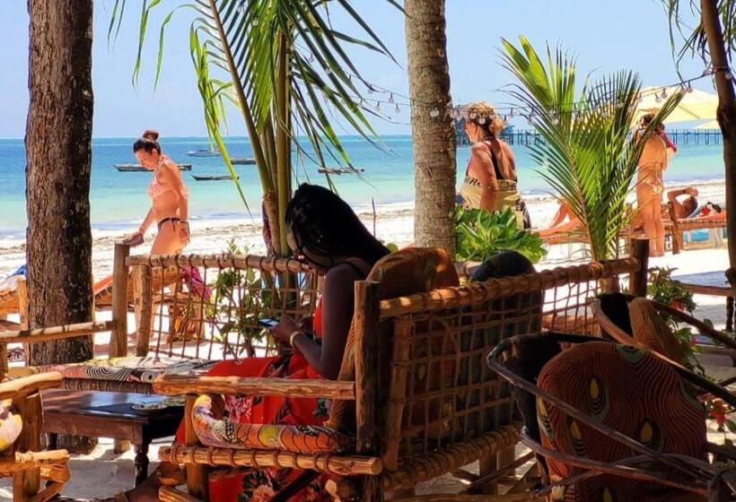 酒店 Sipano Beach Lodge Kiwengwa