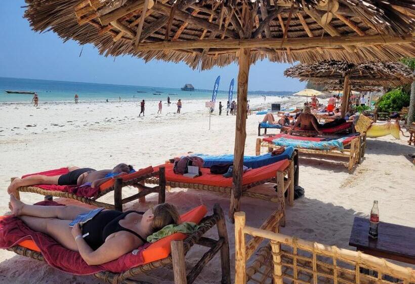 酒店 Sipano Beach Lodge Kiwengwa
