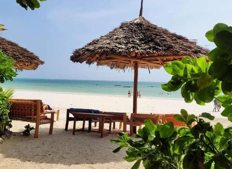 酒店 Sipano Beach Lodge Kiwengwa