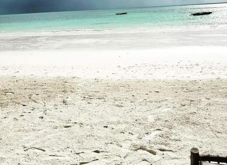 酒店 Sipano Beach Lodge Kiwengwa