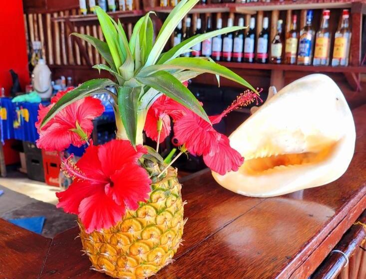 酒店 Sipano Beach Lodge Kiwengwa