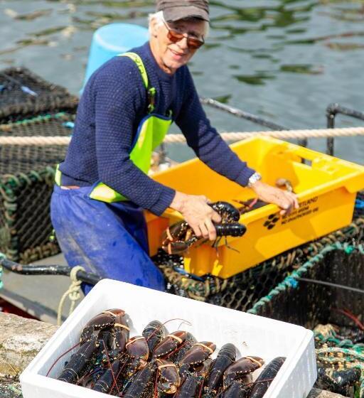 בית מלון כפרי The Crusoe