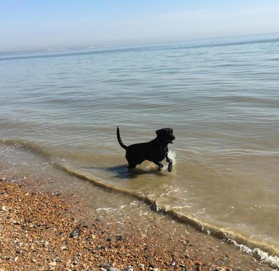 בית מלון כפרי The Lodge At Prince's