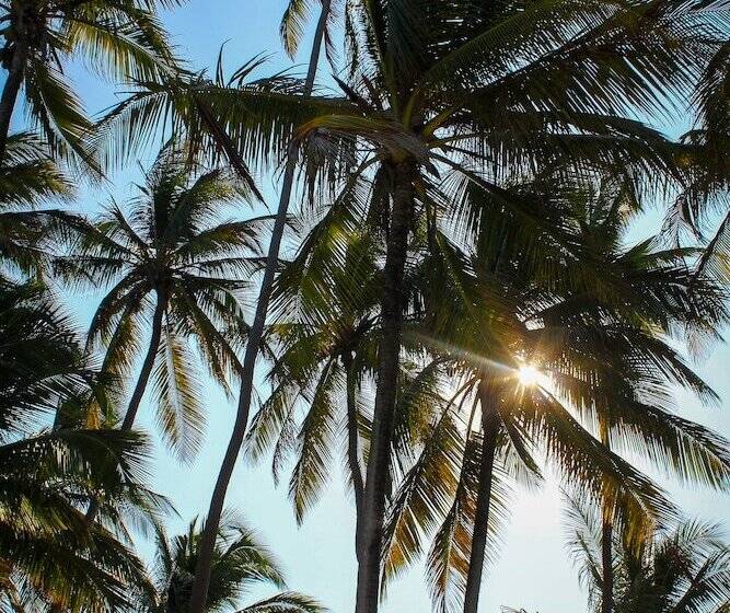 فندق Tsunami Village