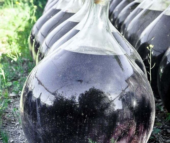 Les Clos De Paulilles