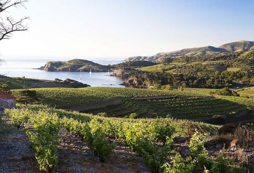 Les Clos De Paulilles