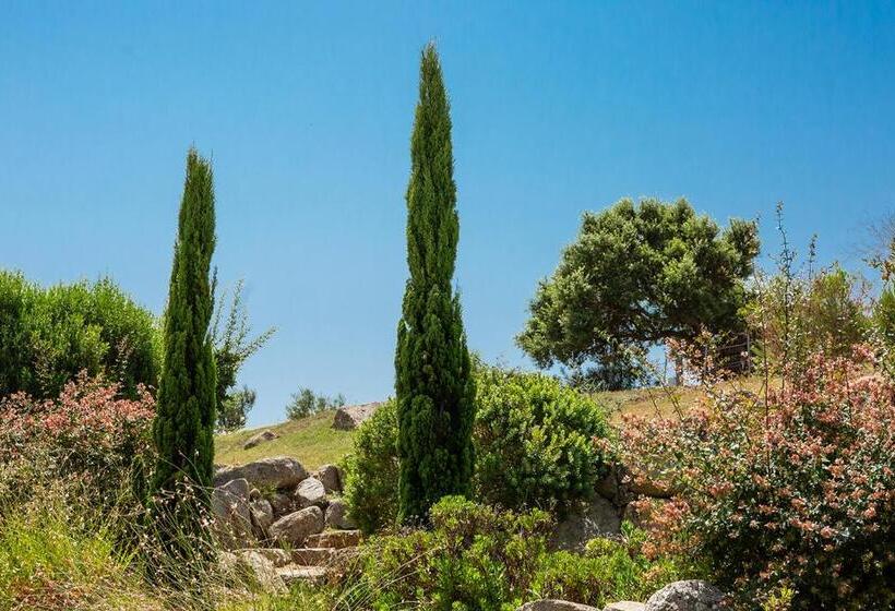 Les Hameaux De Buttaciolo