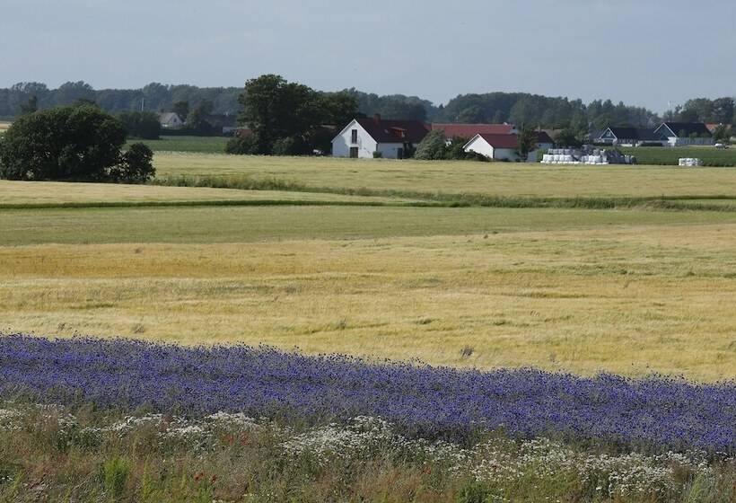 Mälarhusen Semesterby österlen   Stugor & Gårdssviter