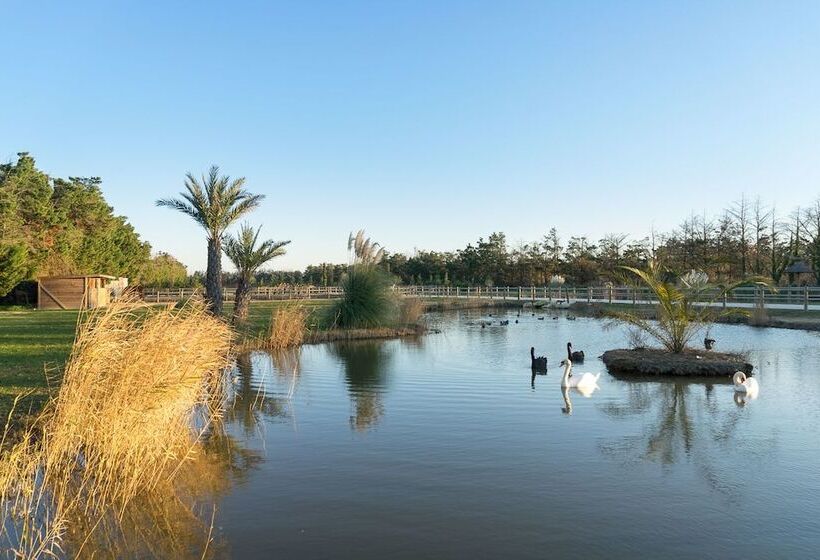 펜션 Abri Cosy   Suite Romantique En Camargue