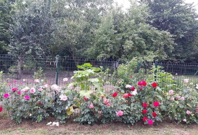 بنسيون Atypiques Confitures, Chambres D Hôtes