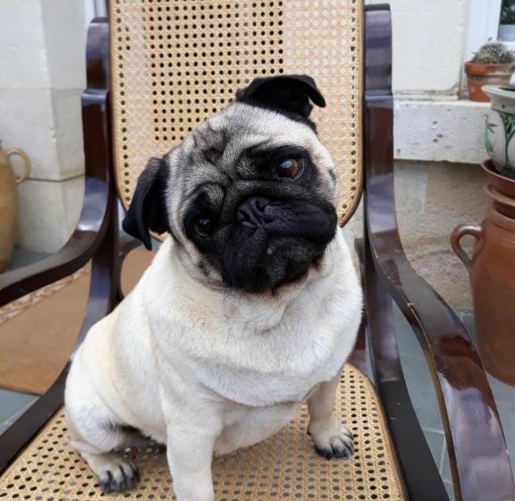 بنسيون Atypiques Confitures, Chambres D Hôtes