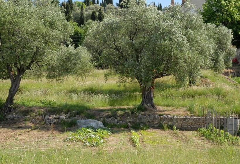 פנסיון Chambres D Hôtes Il Monticello