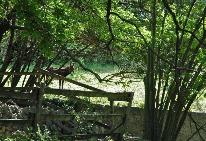 פנסיון Chambres D Hôtes Il Monticello