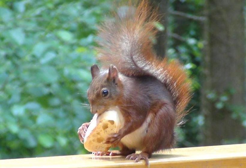 Пансион Hôtel La Maison D Hôtes