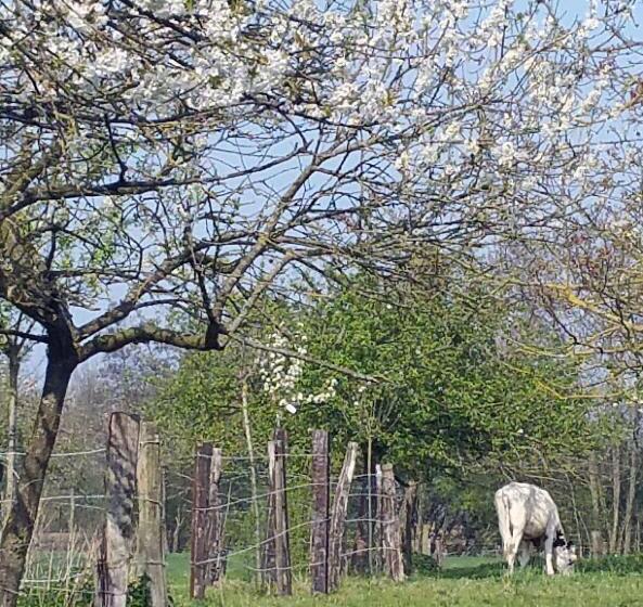 بنسيون La Cense Pierrot Des Princes