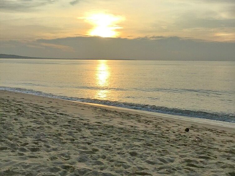 پانسیون The Bay Mui Ne