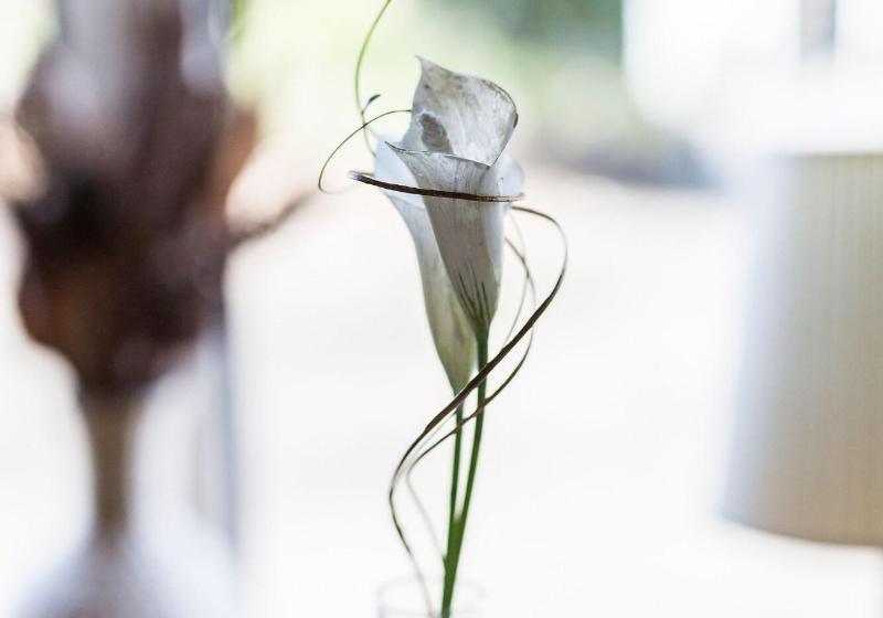 Пансион The Cottage