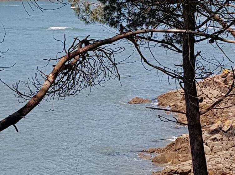 Пансион Villa Magdanic