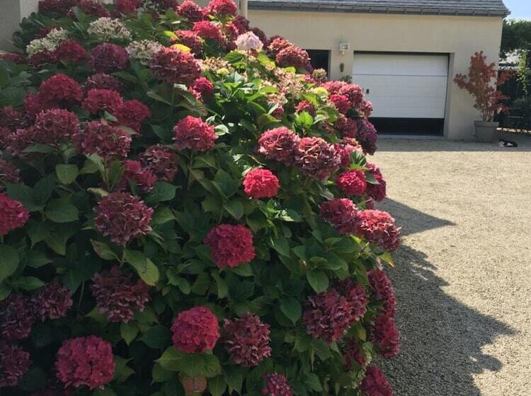 Пансион Villa Magdanic