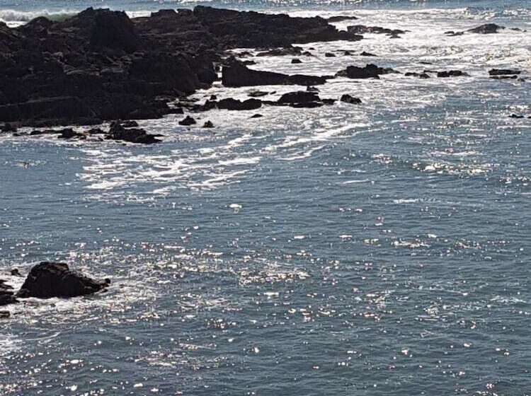 Пансион Villa Magdanic